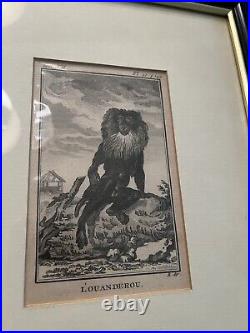 Rare Wwii Trench Art French Lion L'ouanderou B Du Tom VII Pl 10 Page 142